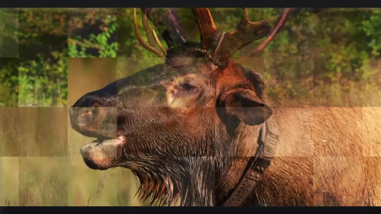 Elk Country screenshot 2