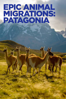 Epic Animal Migrations: Patagonia (2023) poster