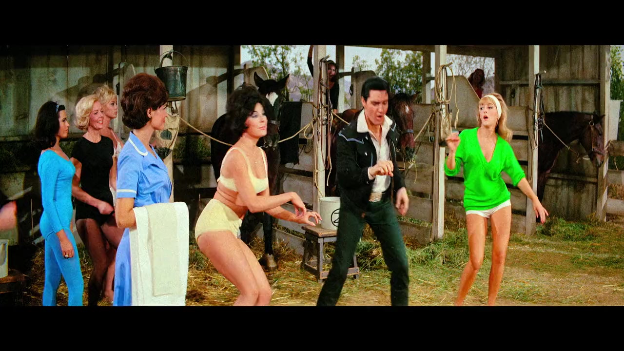 Epic: Elvis Presley in Concert screenshot 1