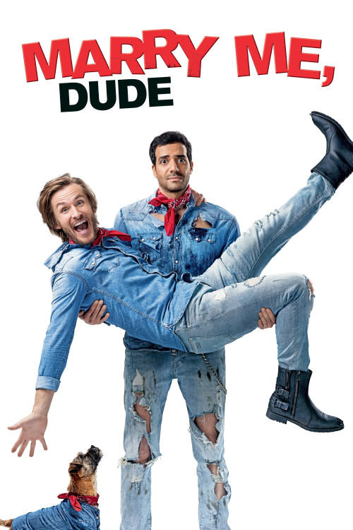 Épouse-moi mon pote (2017) poster
