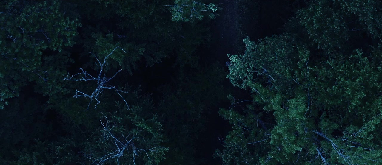 Eradication screenshot 1