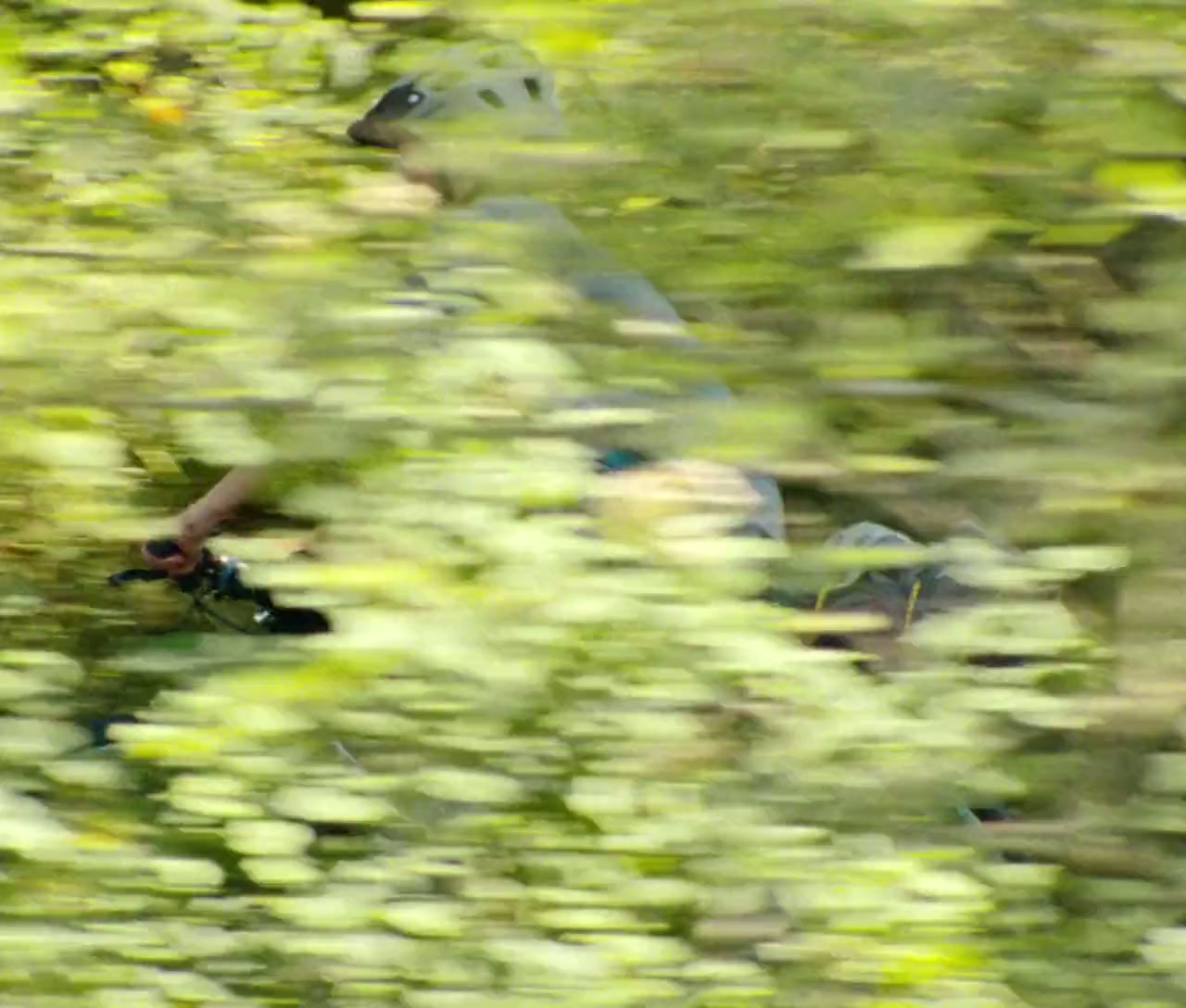 Estrany riu screenshot 3