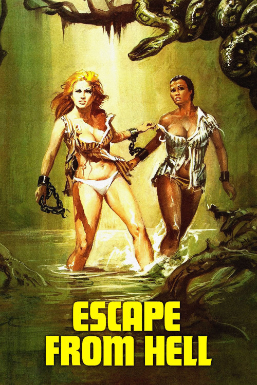 Femmine infernali (1980) poster
