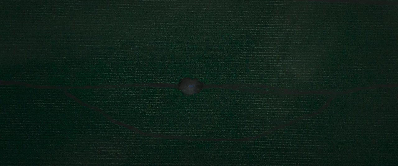 Escape the Field screenshot 1