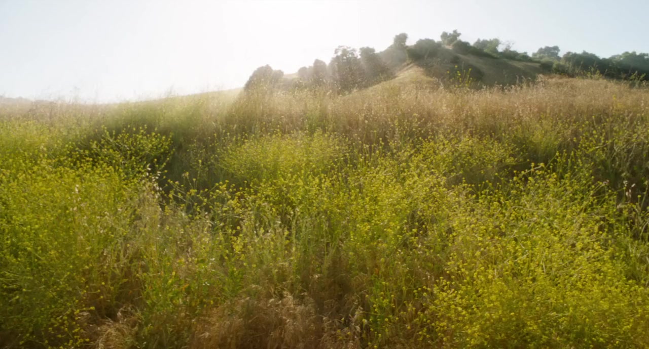 Escape Through Africa screenshot 2