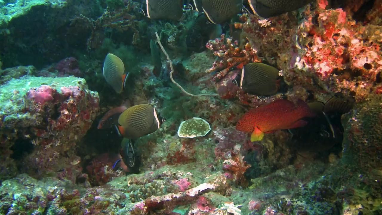 Escape to Maldives screenshot 2