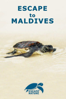 Escape to Maldives (2015) poster