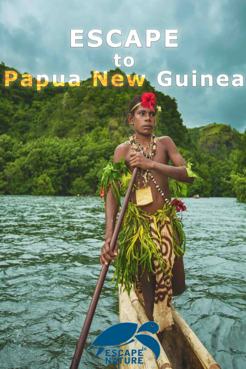 Escape to Papua New Guinea (2015) poster