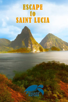 Escape to Saint Lucia (2013) poster