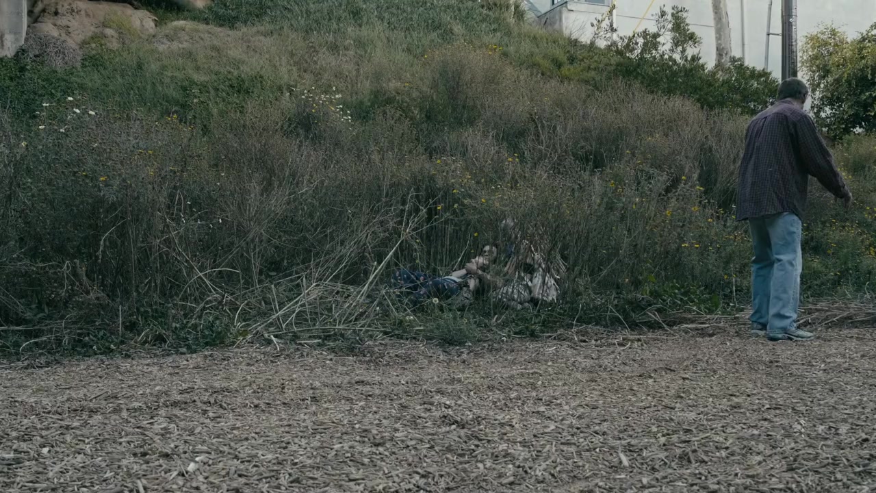 Escape to the Cove screenshot 1