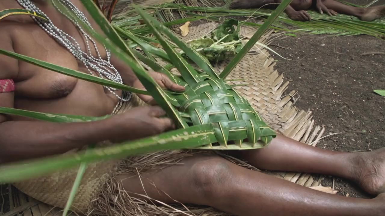 Escape to Vanuatu screenshot 3