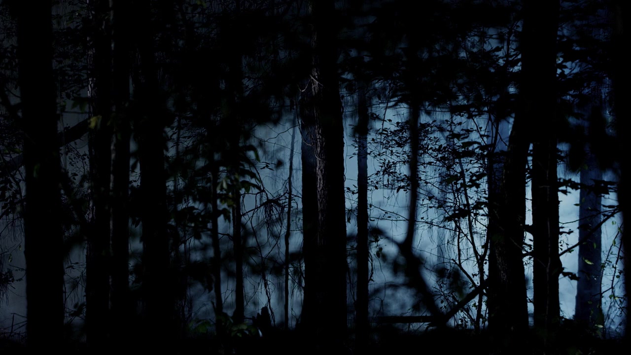 Escapee screenshot 1