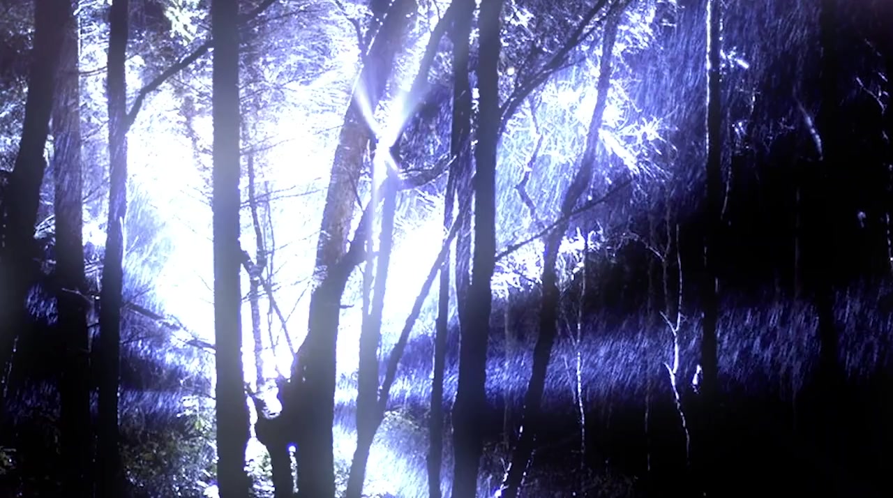 ETs Among Us 5: Binary Code - Secret Messages from the Cosmos (with Linda Moulton Howe) screenshot 3