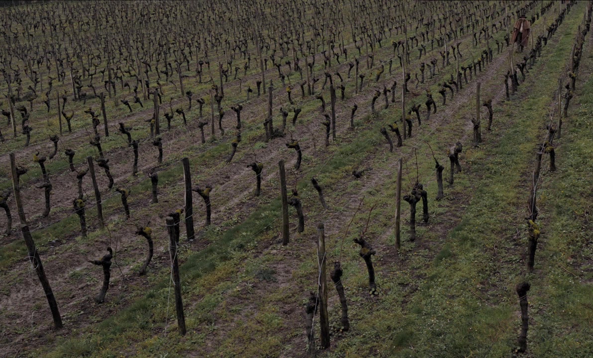 Eugénie Grandet screenshot 1