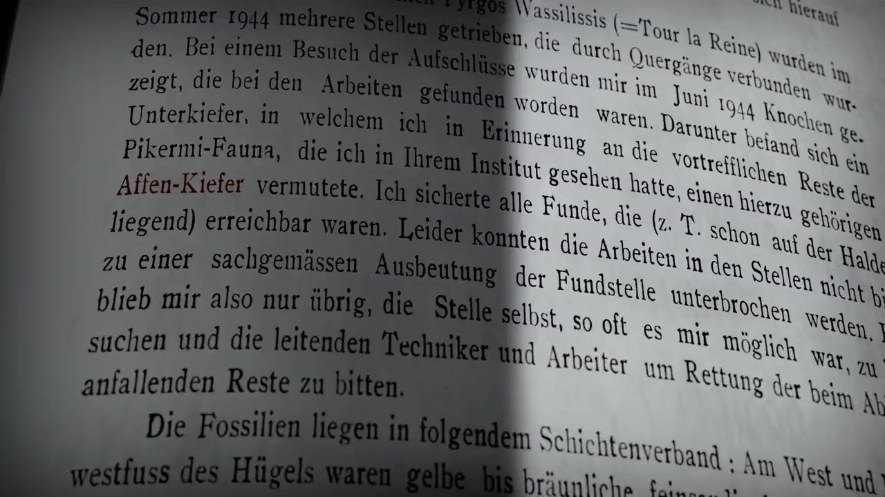 Europa - Wiege der Menschheit? screenshot 1