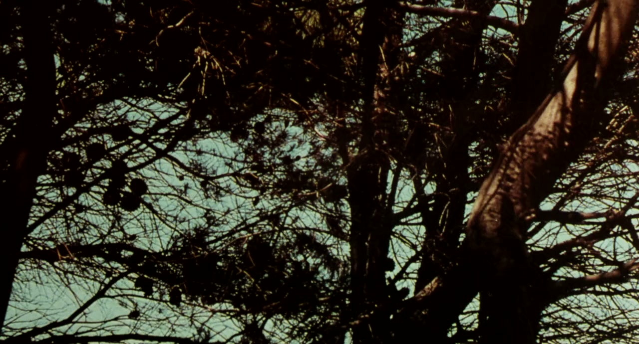 Eva, la Venere selvaggia screenshot 1