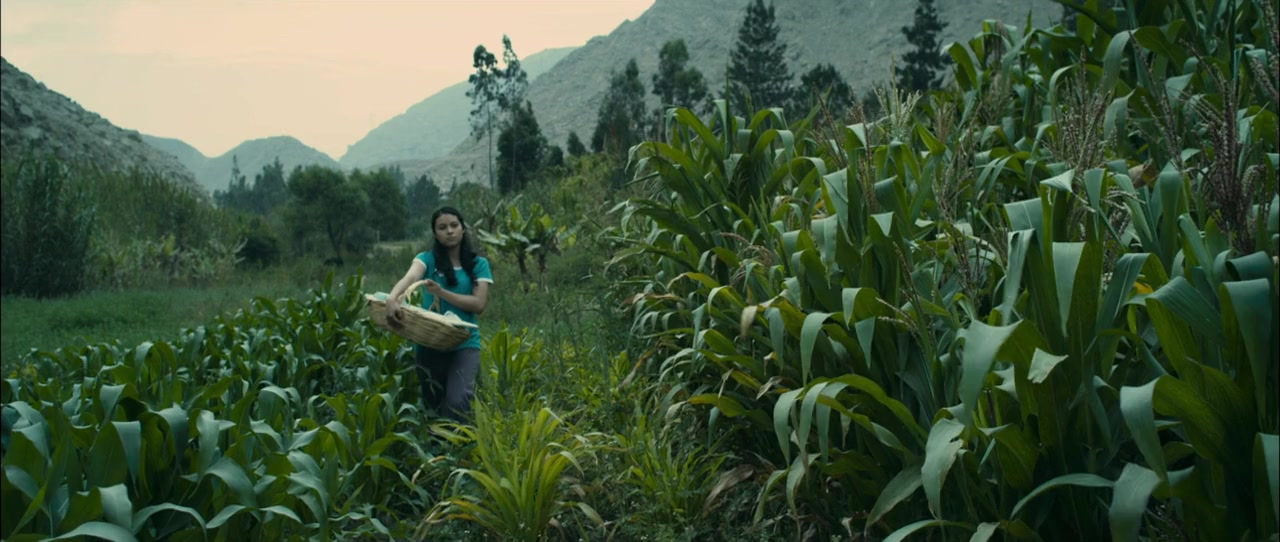 Evelyn screenshot 2