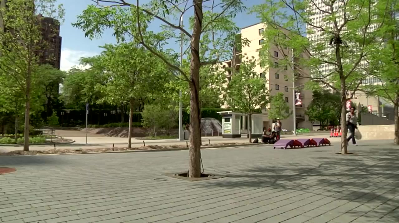 Even the Crows: A Divided Gujarat screenshot 2