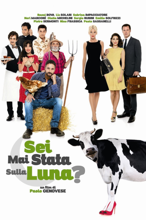Sei mai stata sulla luna? (2015) poster