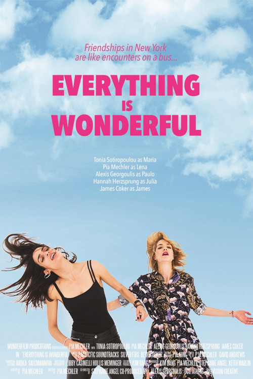 Everything Is Wonderful (2017) poster
