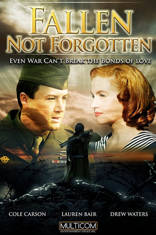 Everyman's War (2009) poster