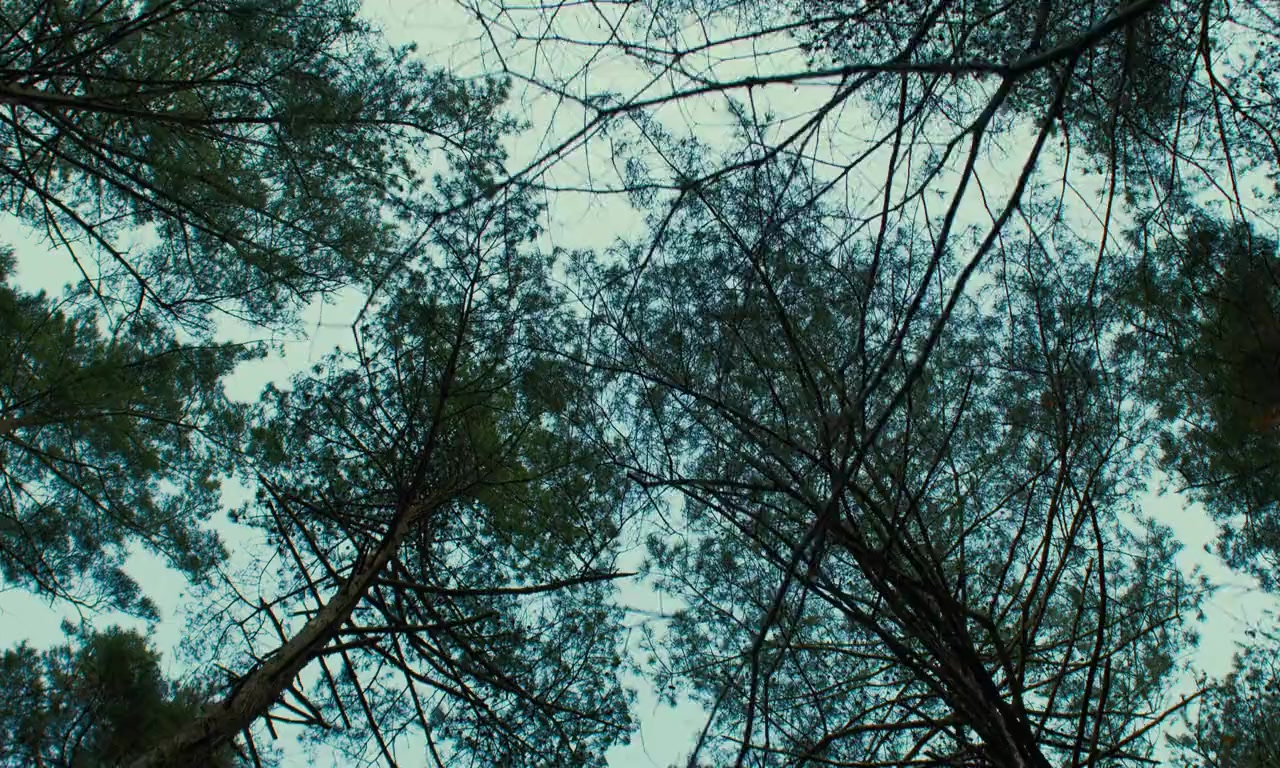 Aku wa sonzai shinai screenshot 3