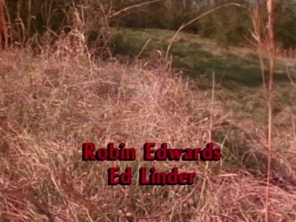 Evil in the Woods screenshot 1