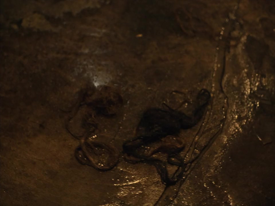 Evolution screenshot 1
