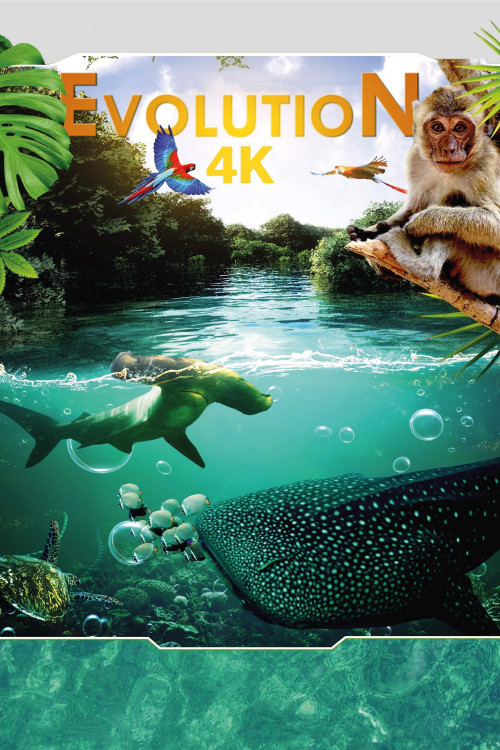 Evolution 4K (2018) poster