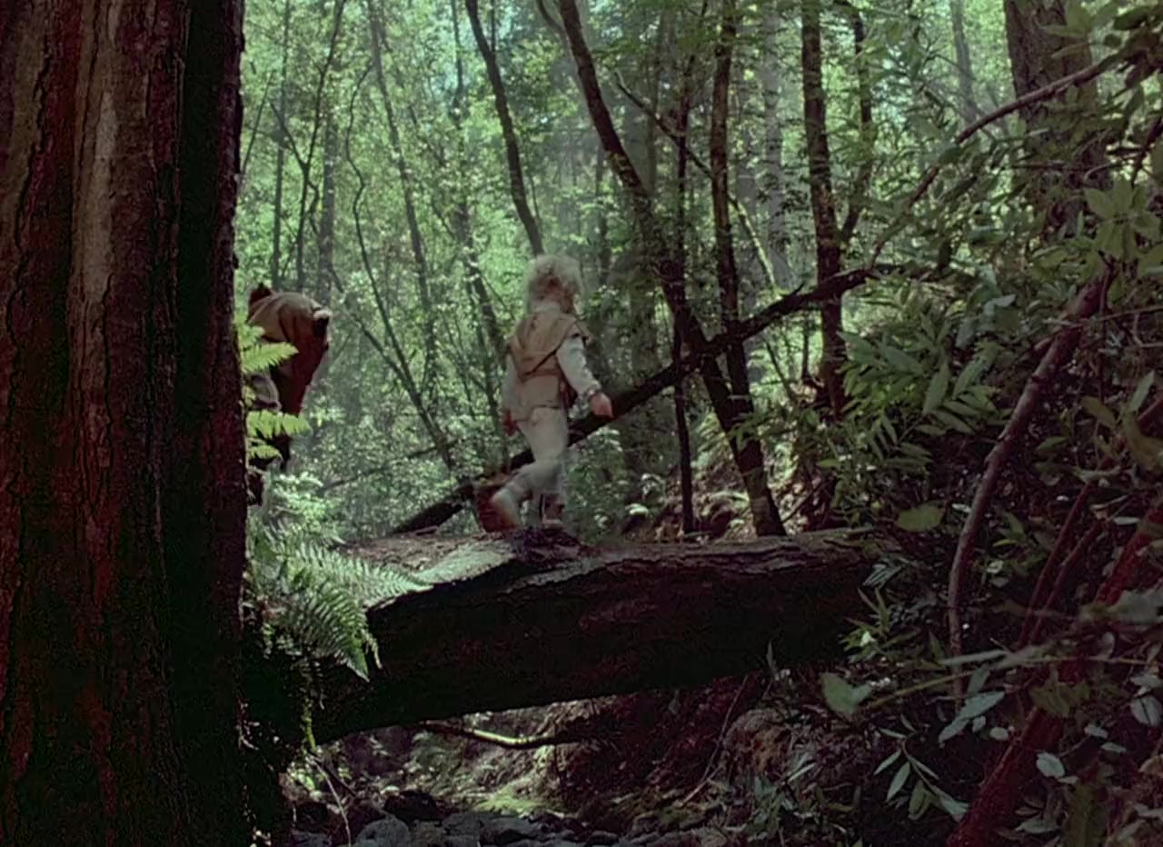 Ewoks: The Battle for Endor screenshot 2
