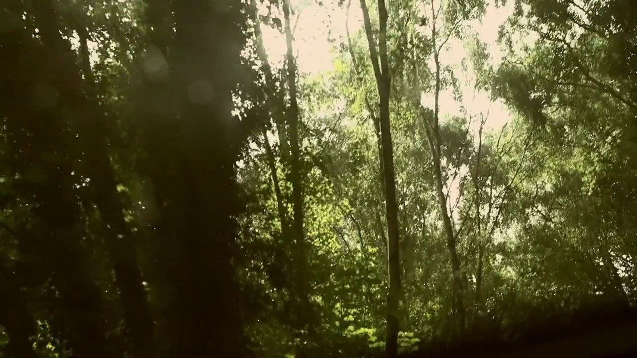 Extinction screenshot 2