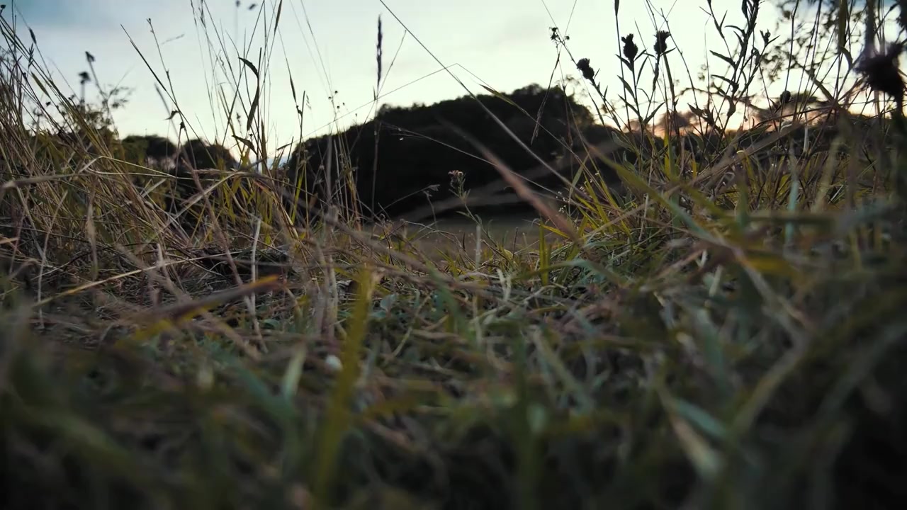 Excalipurr screenshot 2
