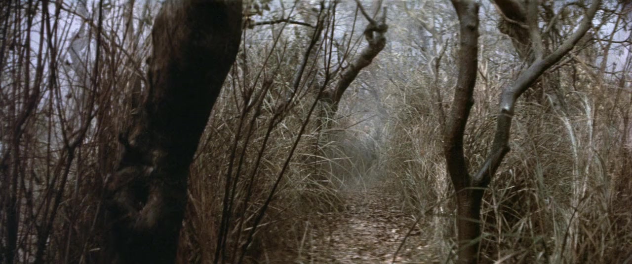 Qiu jue screenshot 1