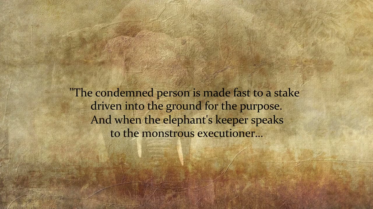 Executions: The Rise and Fall of Capital Punishment screenshot 1