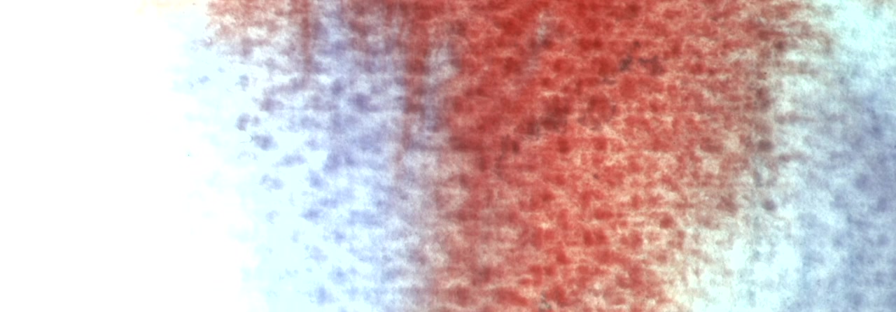 Exergo screenshot 2