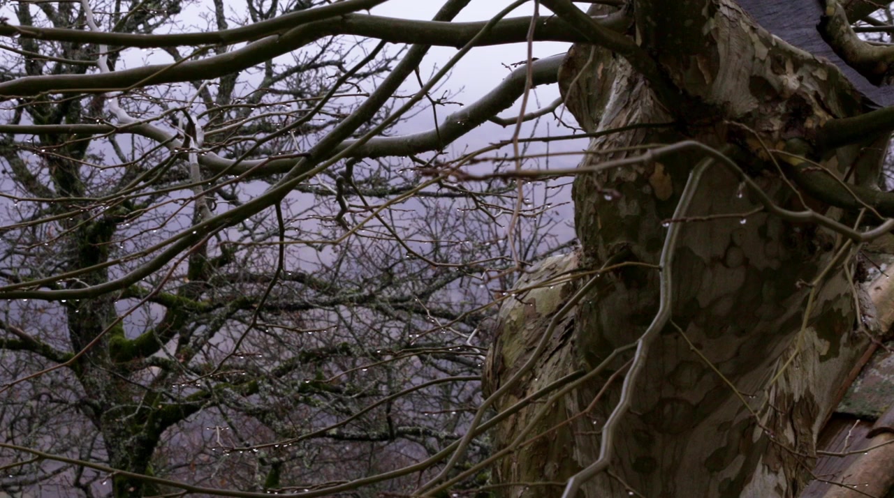 Michelangelo: Love and Death screenshot 3