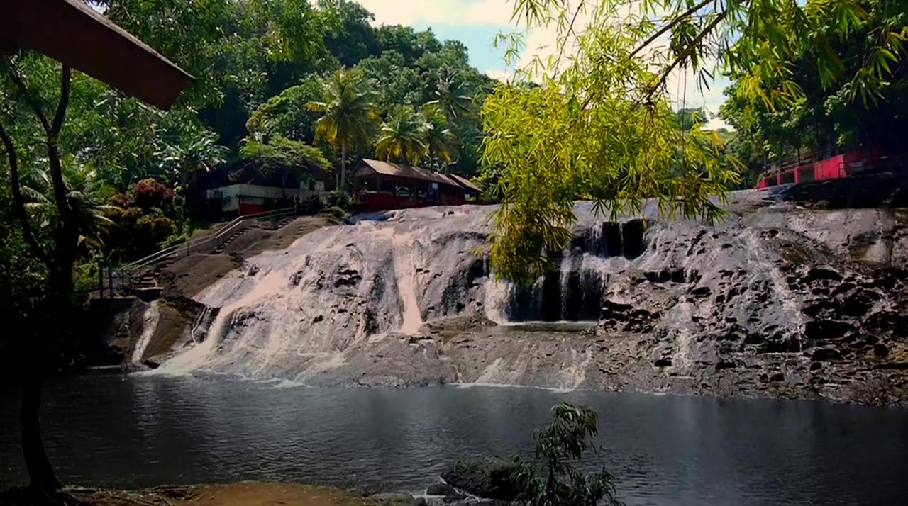 Exotic screenshot 1