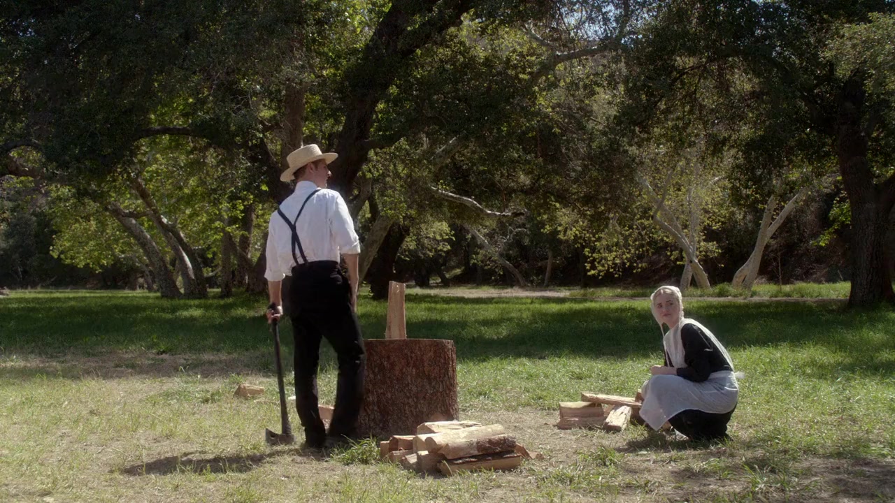 Expecting Amish screenshot 1
