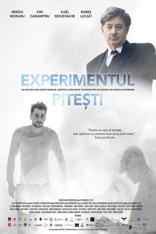 Experimentul Pitesti (2023) poster