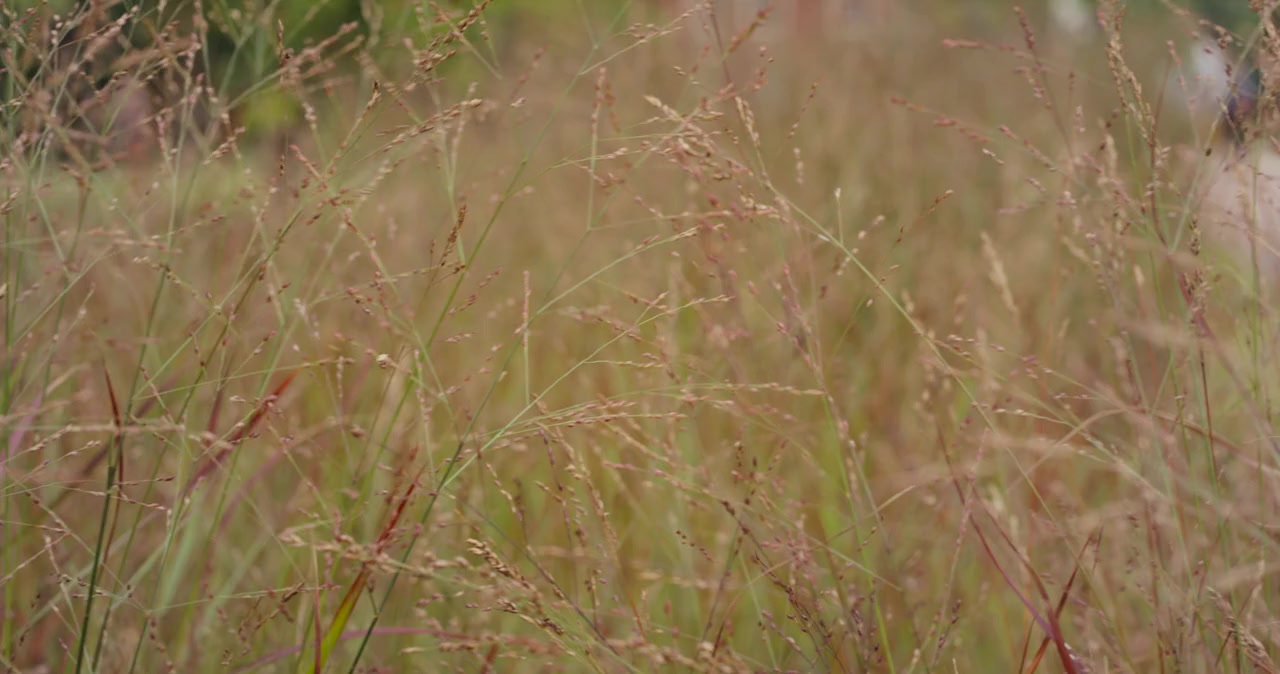 Exploited screenshot 2