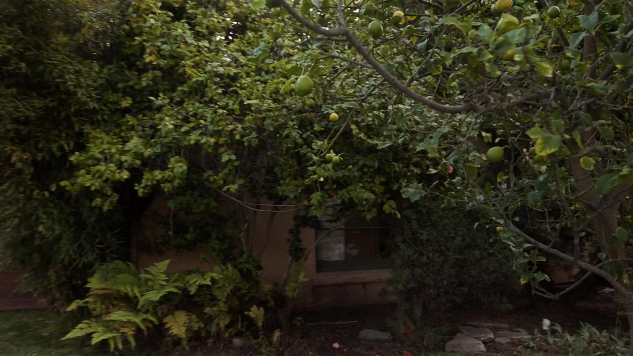 Eye Without a Face screenshot 1