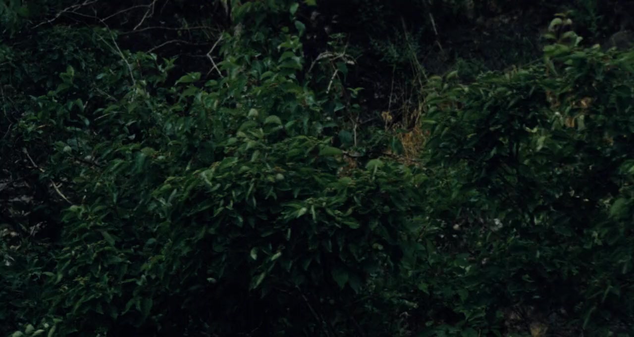 Eyes of Fire screenshot 3