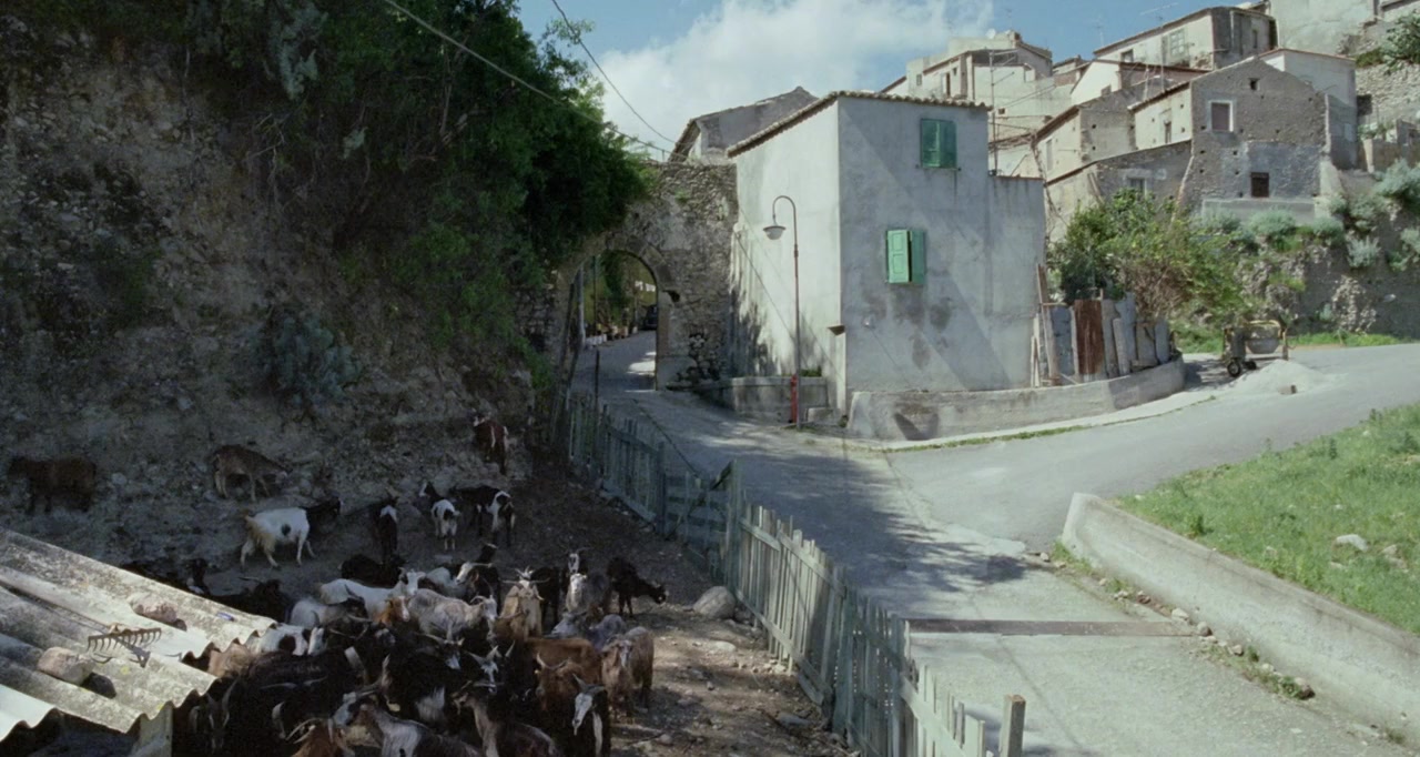 Le quattro volte screenshot 2