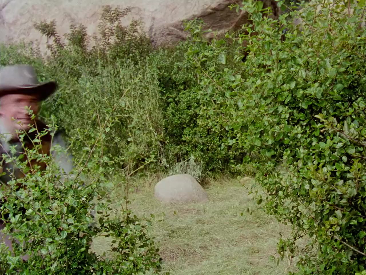 Four Guns to the Border screenshot 1