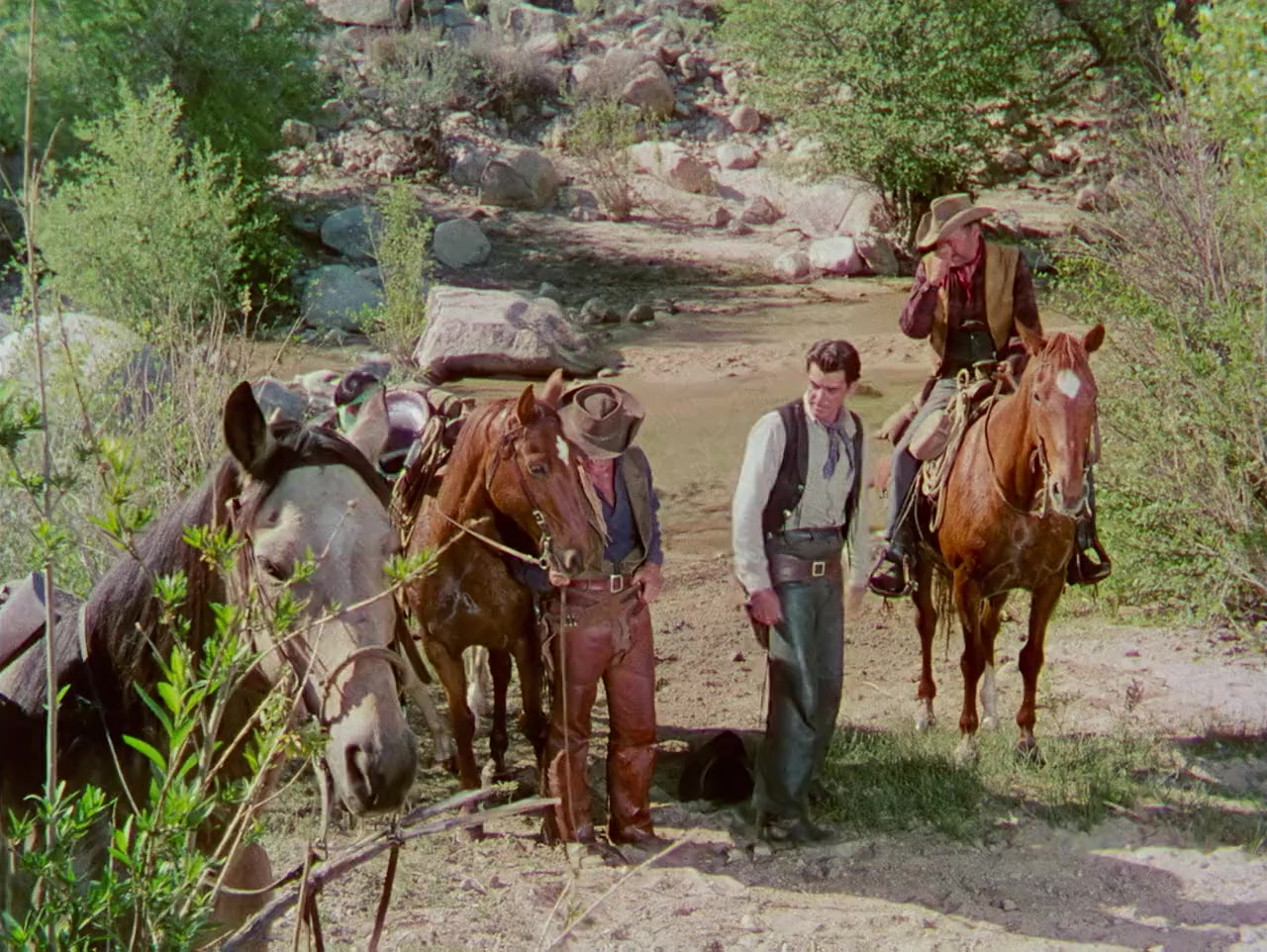 Four Guns to the Border screenshot 2