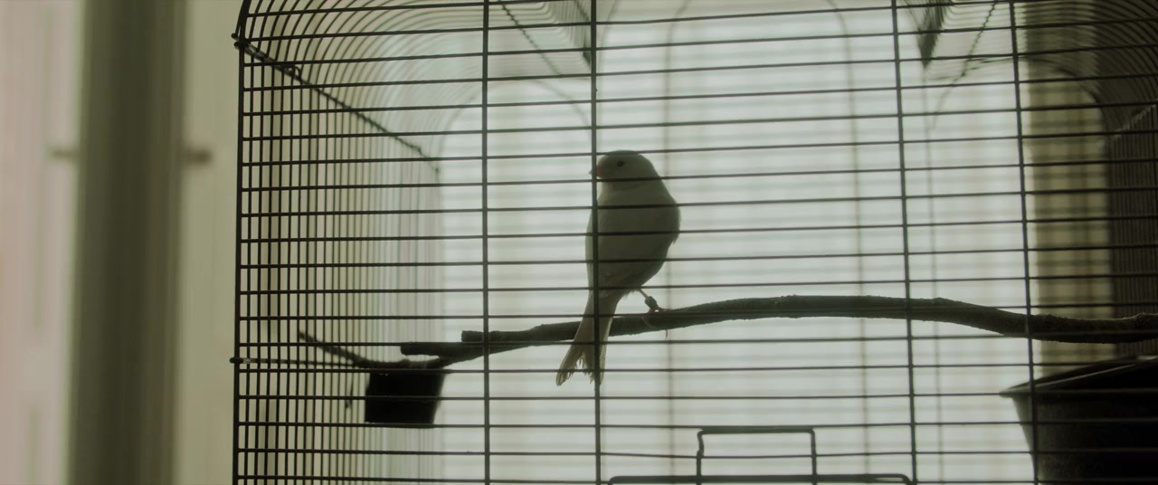 Four Letters of Love screenshot 3