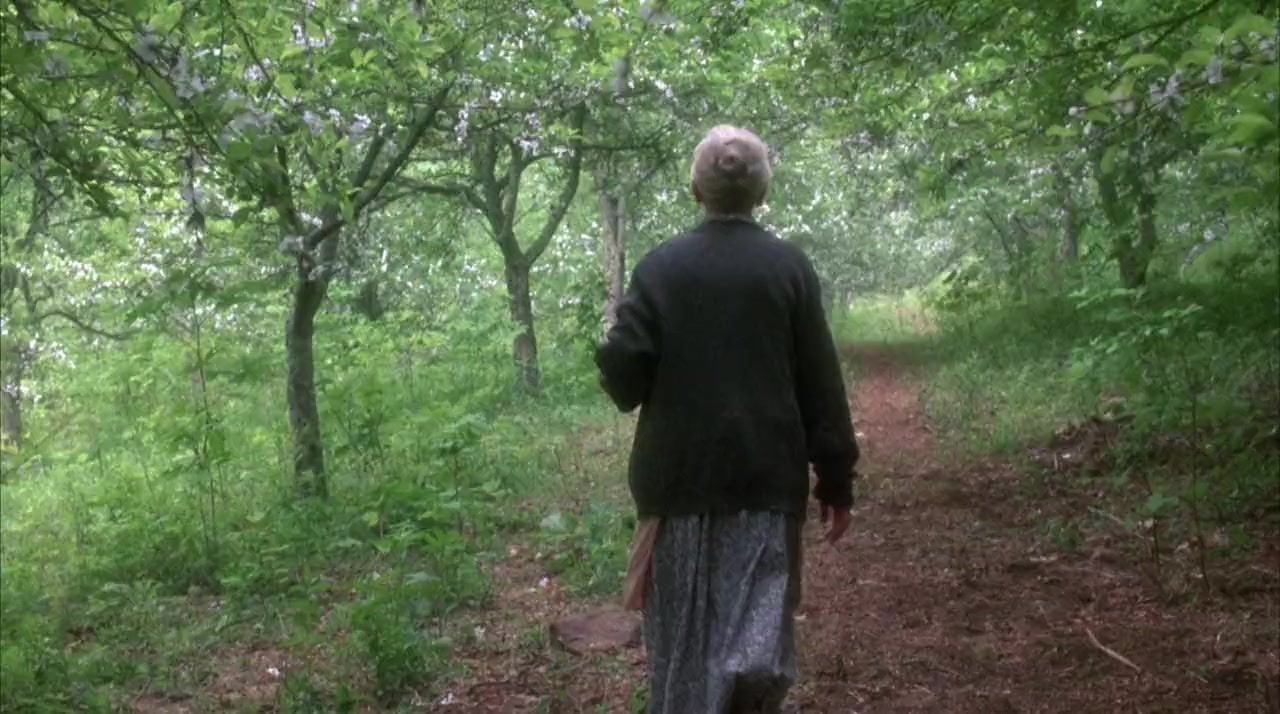 Foxfire screenshot 1
