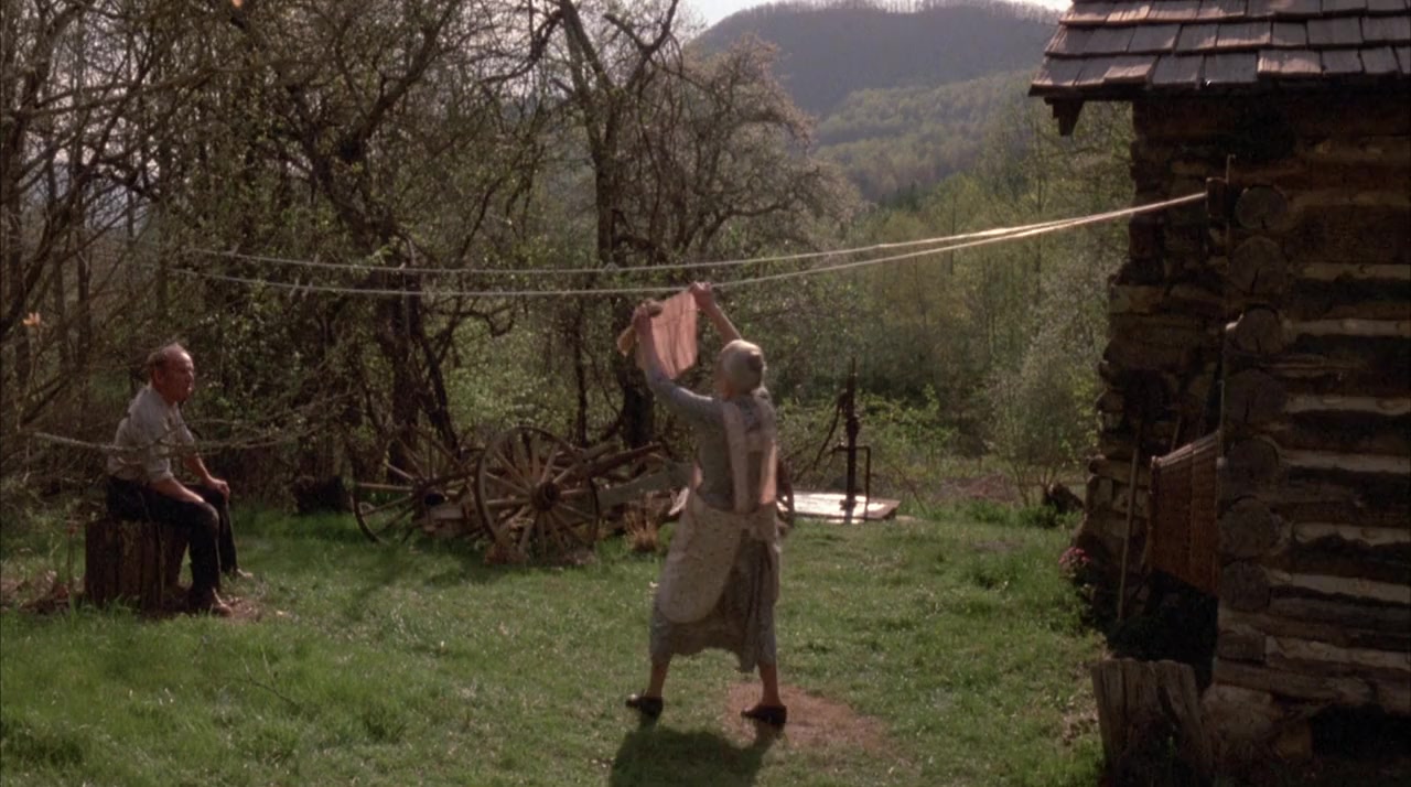 Foxfire screenshot 2