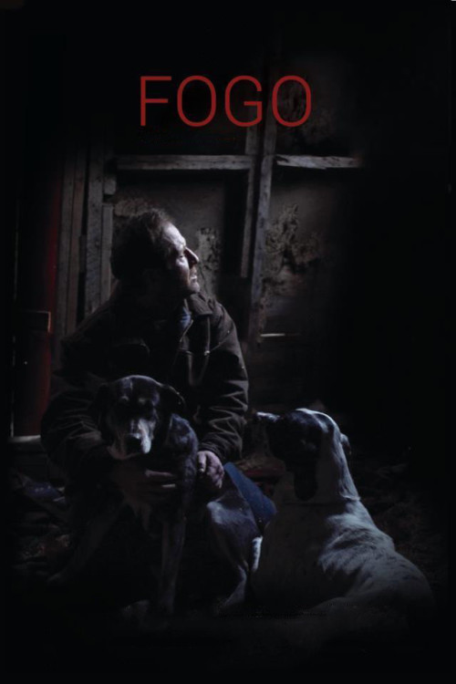 Fogo (2012) poster