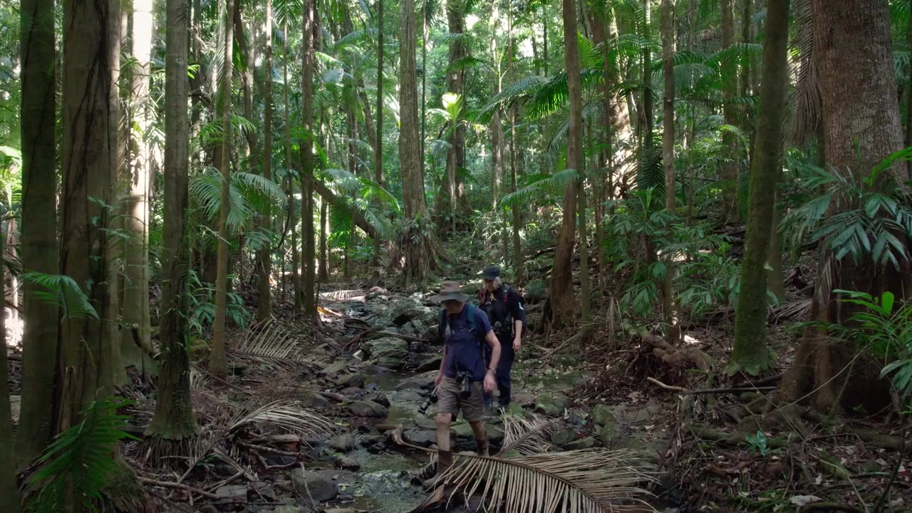 Follow the Rain screenshot 1
